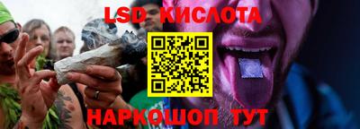 стафф Донской