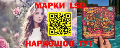 стафф Донской
