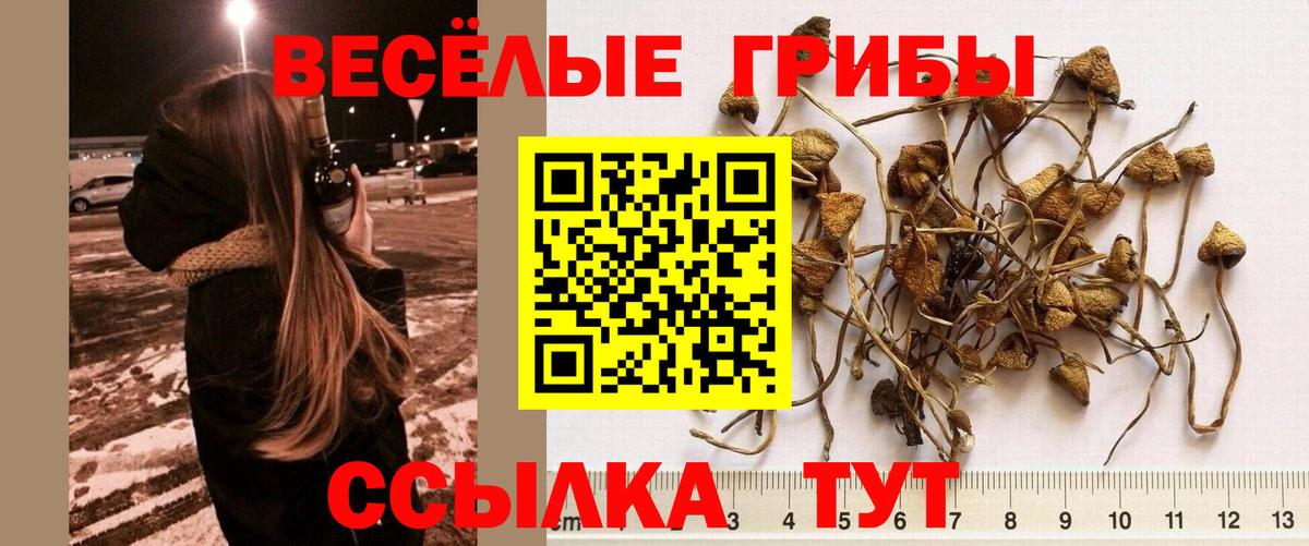 Псилоцибиновые грибы прущие грибы  Вход с VPN  Набережные Челны  Галлюциногенные грибы прущие грибы 